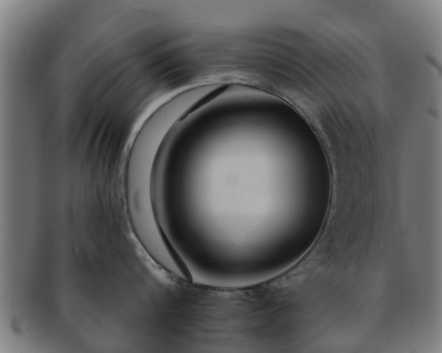 X0000091720816200708311137