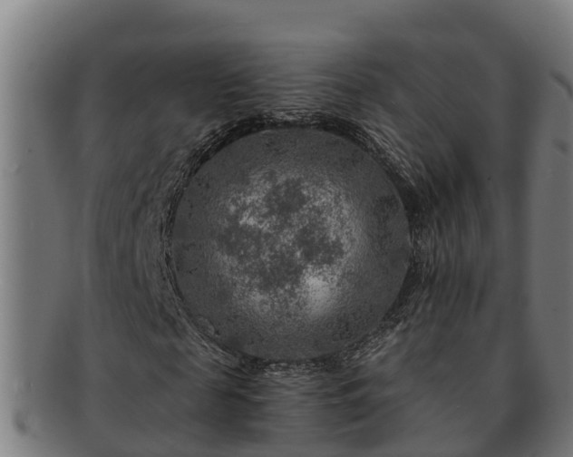 X0000091720817200708311136