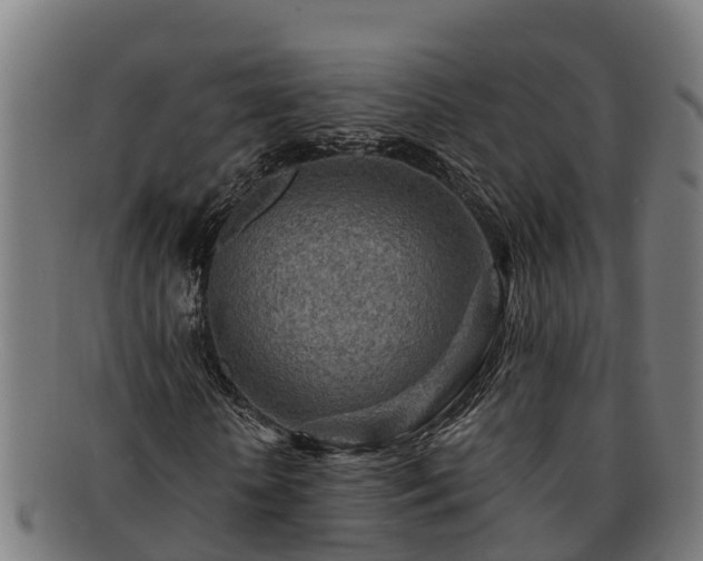 X0000091720818200708311136