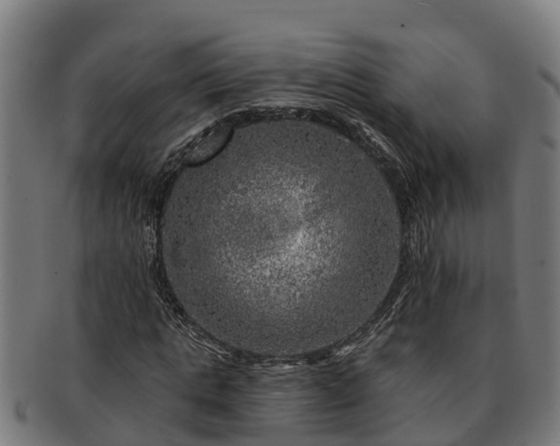 X0000091720821200708311136