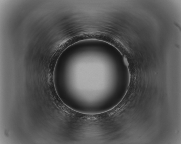 X0000091720822200708311136