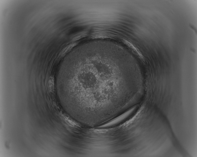 X0000091720825200708311136