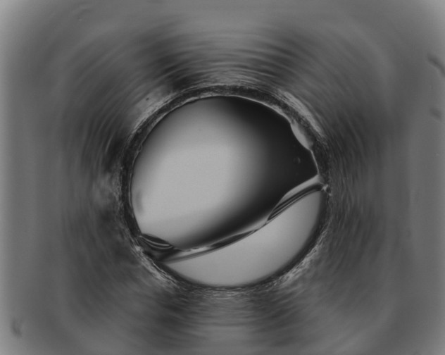 X0000091720826200708311136