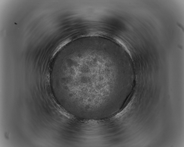 X0000091720827200708311136