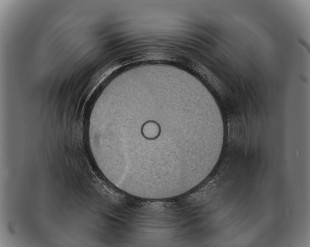 X0000091720828200708311136