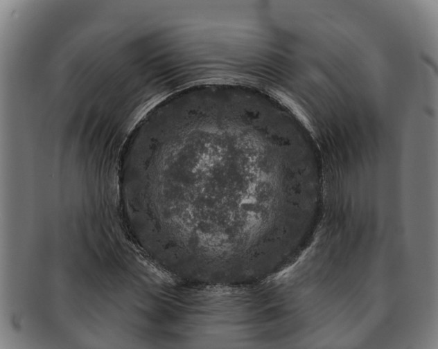 X0000091720829200708311136