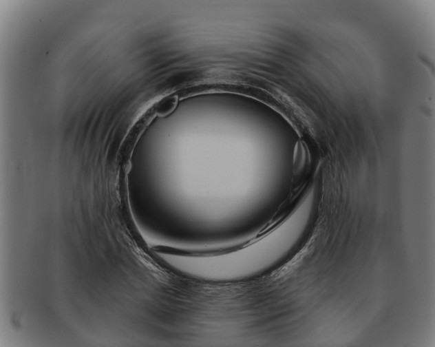 X0000091720830200708311136