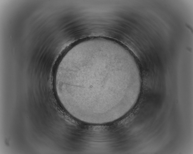 X0000091720832200708311136