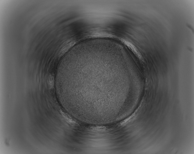 X0000091720833200708311136