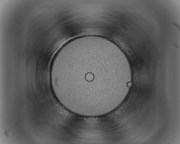 X0000091720836200708311137