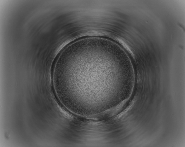 X0000091720837200708311137