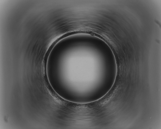 X0000091720838200708311137