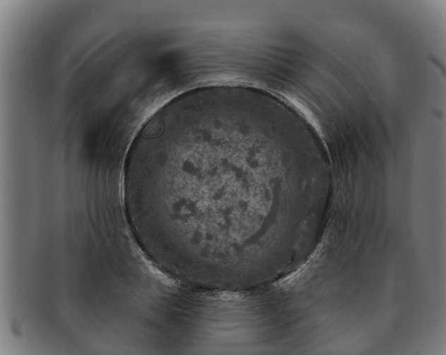 X0000091720839200708311137