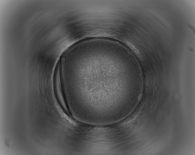 X0000091720840200708311137