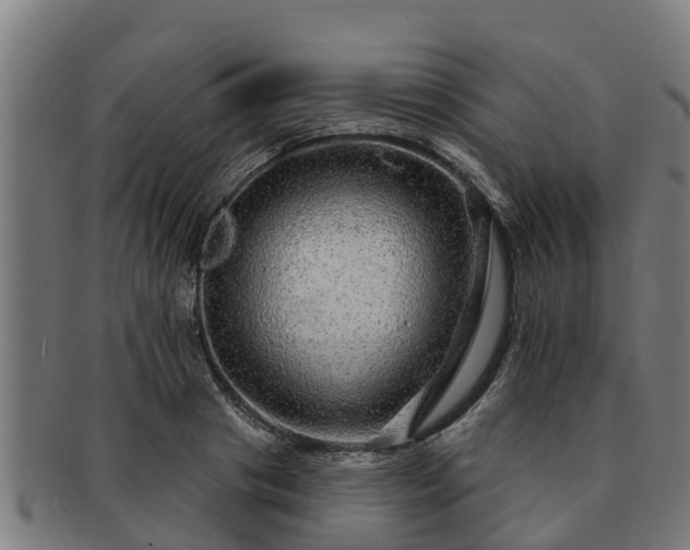 X0000091720841200708311137