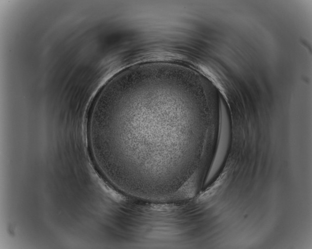 X0000091720843200708311137