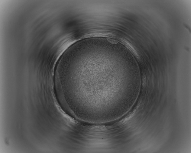 X0000091720844200708311137