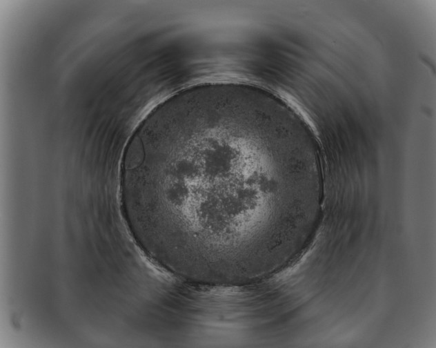 X0000091720845200708311137