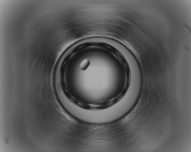 X0000091720846200708311137