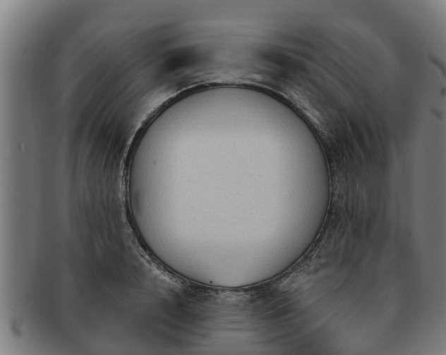 X0000091720848200708311137