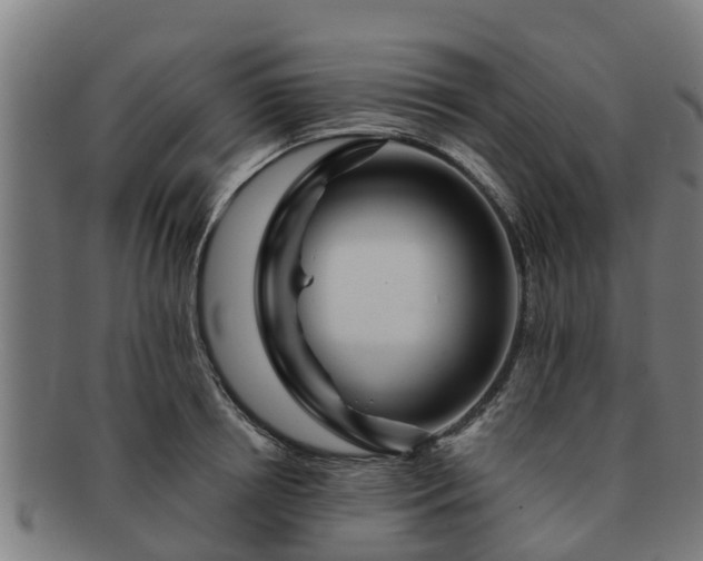 X0000091720850200708311137