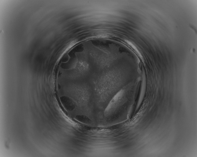 X0000091720851200708311137