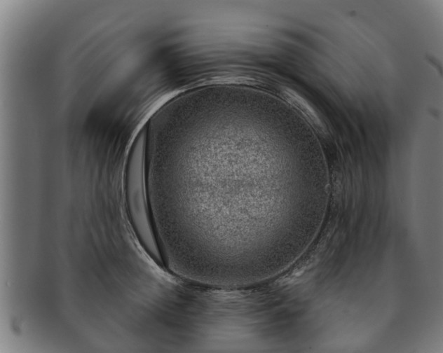 X0000091720852200708311137