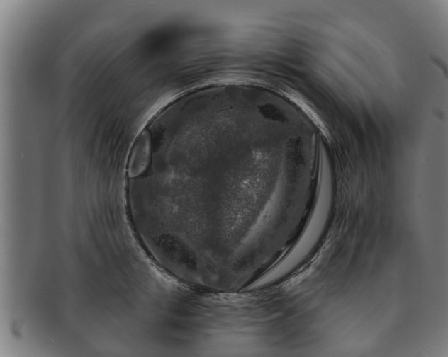 X0000091720853200708311137