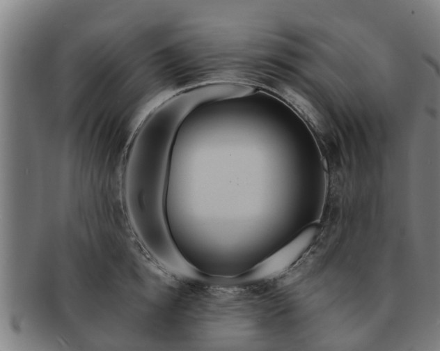 X0000091720854200708311137