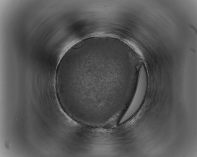 X0000091720855200708311137