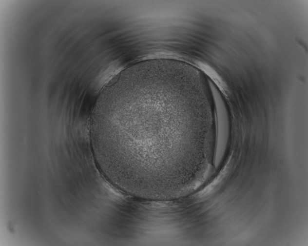 X0000091720857200708311137