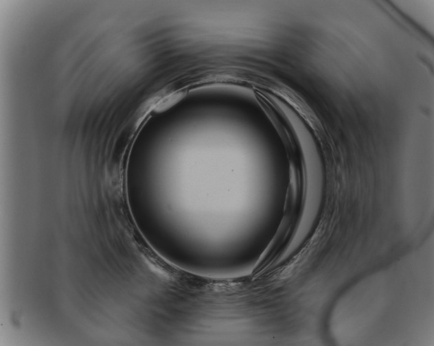 X0000091720858200708311137