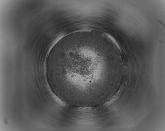 X0000091720859200708311137