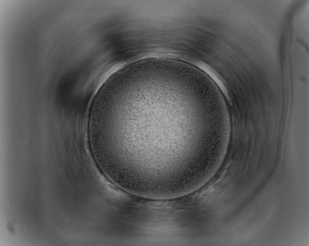 X0000091720861200708311137