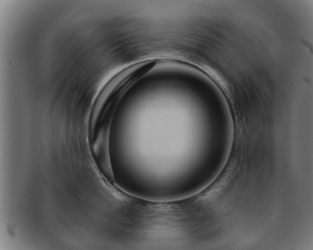 X0000091720862200708311137