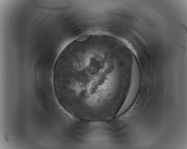 X0000091720863200708311137