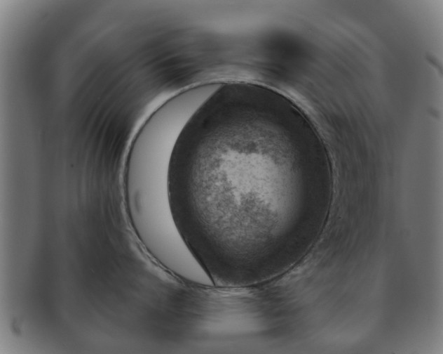 X0000091720864200708311137