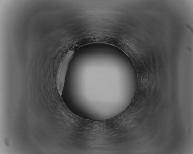 X0000091720865200708311136