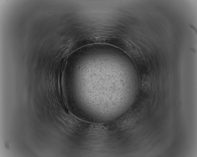 X0000091720866200708311136