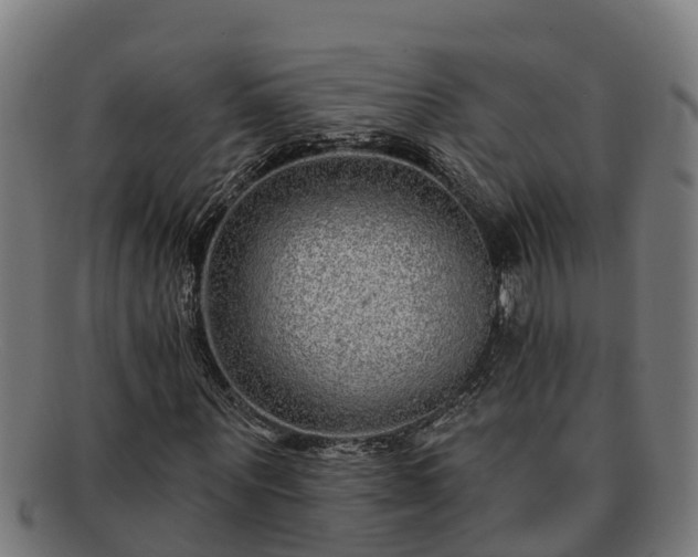 X0000091720867200708311136