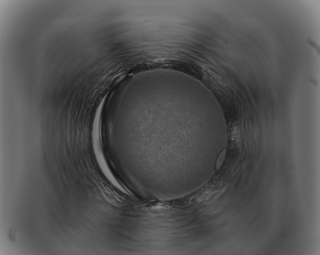 X0000091720868200708311136