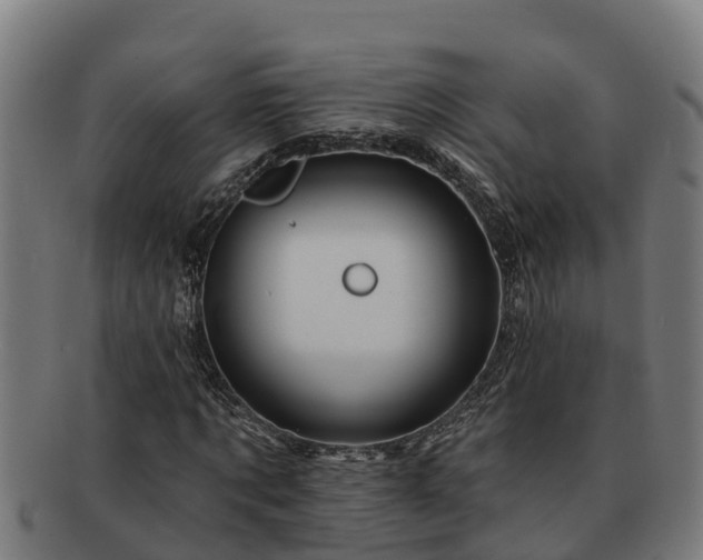 X0000091720869200708311136