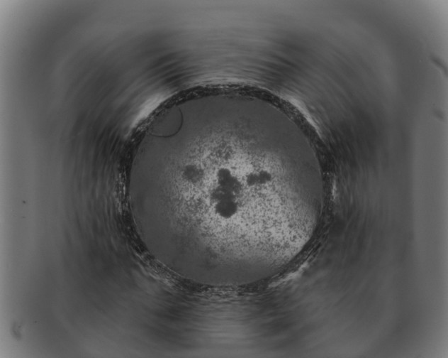 X0000091720871200708311136