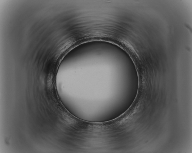 X0000091720873200708311136