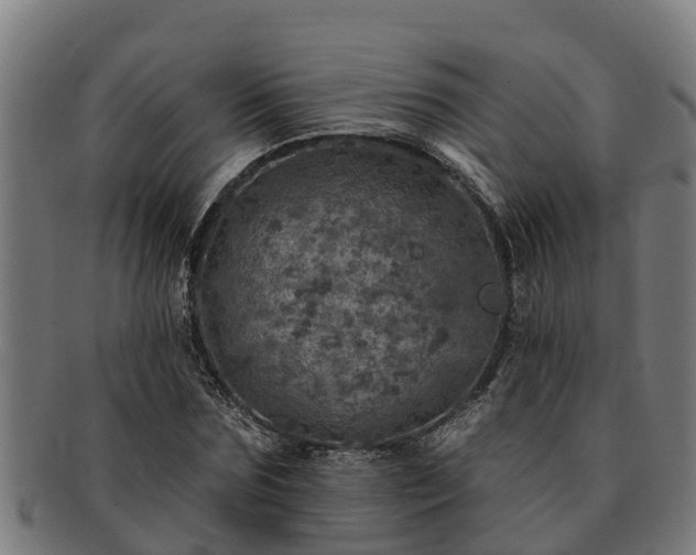 X0000091720875200708311136