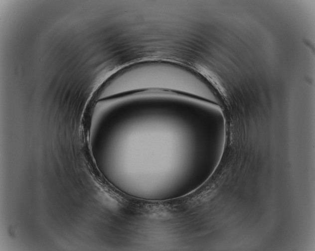 X0000091720876200708311136