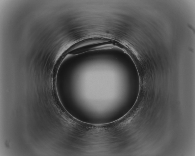 X0000091720877200708311136