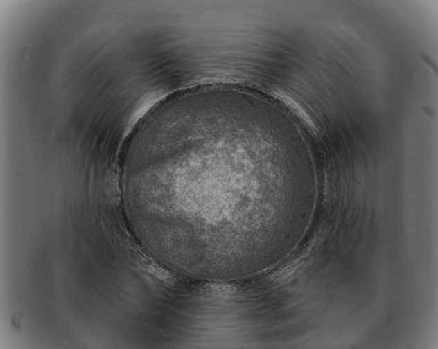 X0000091720878200708311136