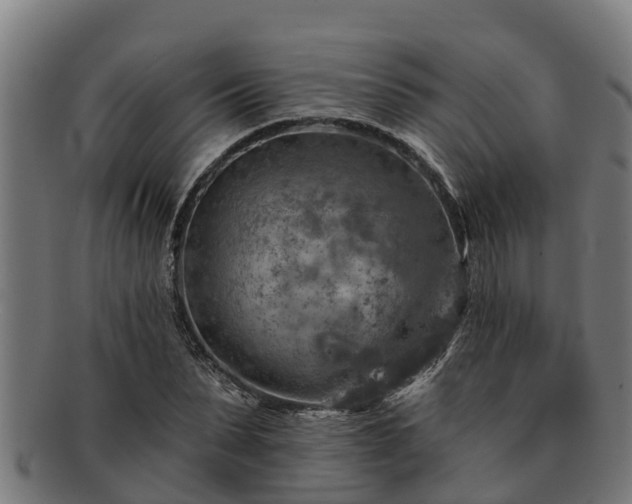 X0000091720879200708311136