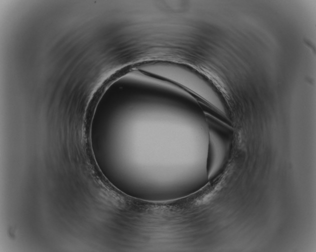 X0000091720880200708311136